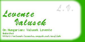 levente valusek business card